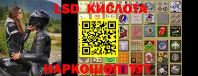 винт Камышлов